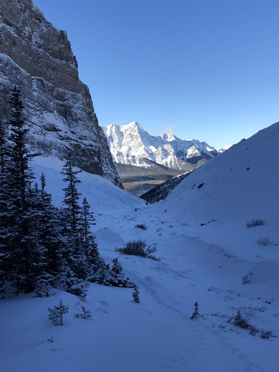 Spencer Creek Hike Edventure Blog