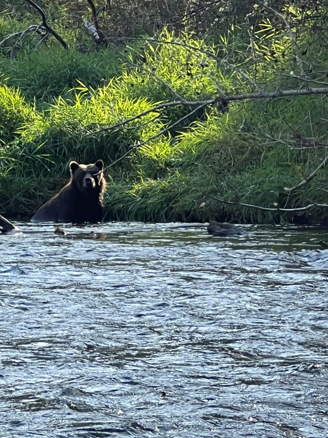 Vancouver/Whistler/Bella Coola Trip Edventure Blog